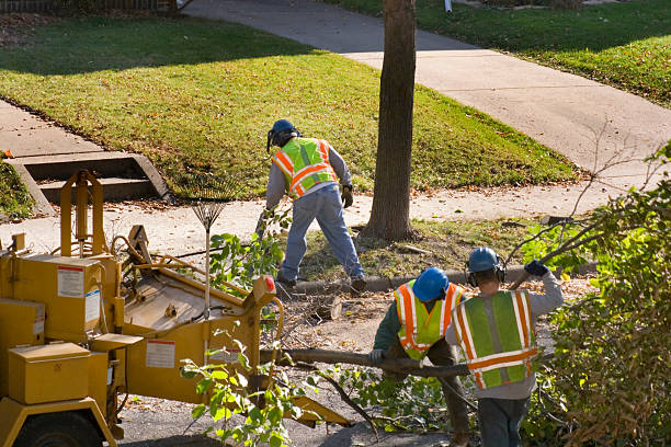 Lawn Grading and Leveling in Mineola, TX